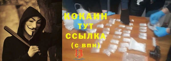 трава Белокуриха