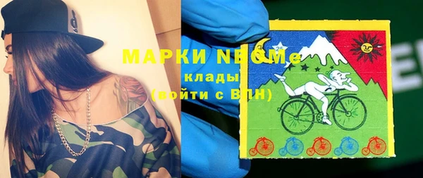 трава Белокуриха