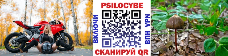 ссылка на мегу ССЫЛКА  shop официальный сайт  Галлюциногенные грибы Magic Shrooms  купить   Малоярославец 