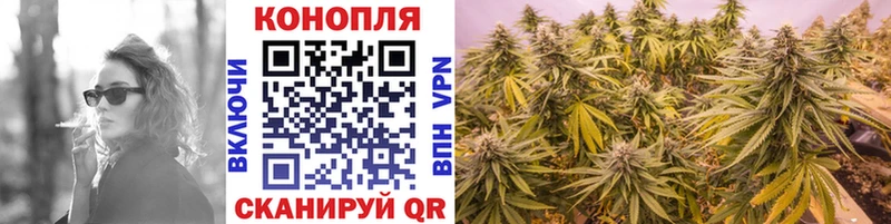 Марихуана OG Kush  Малоярославец 